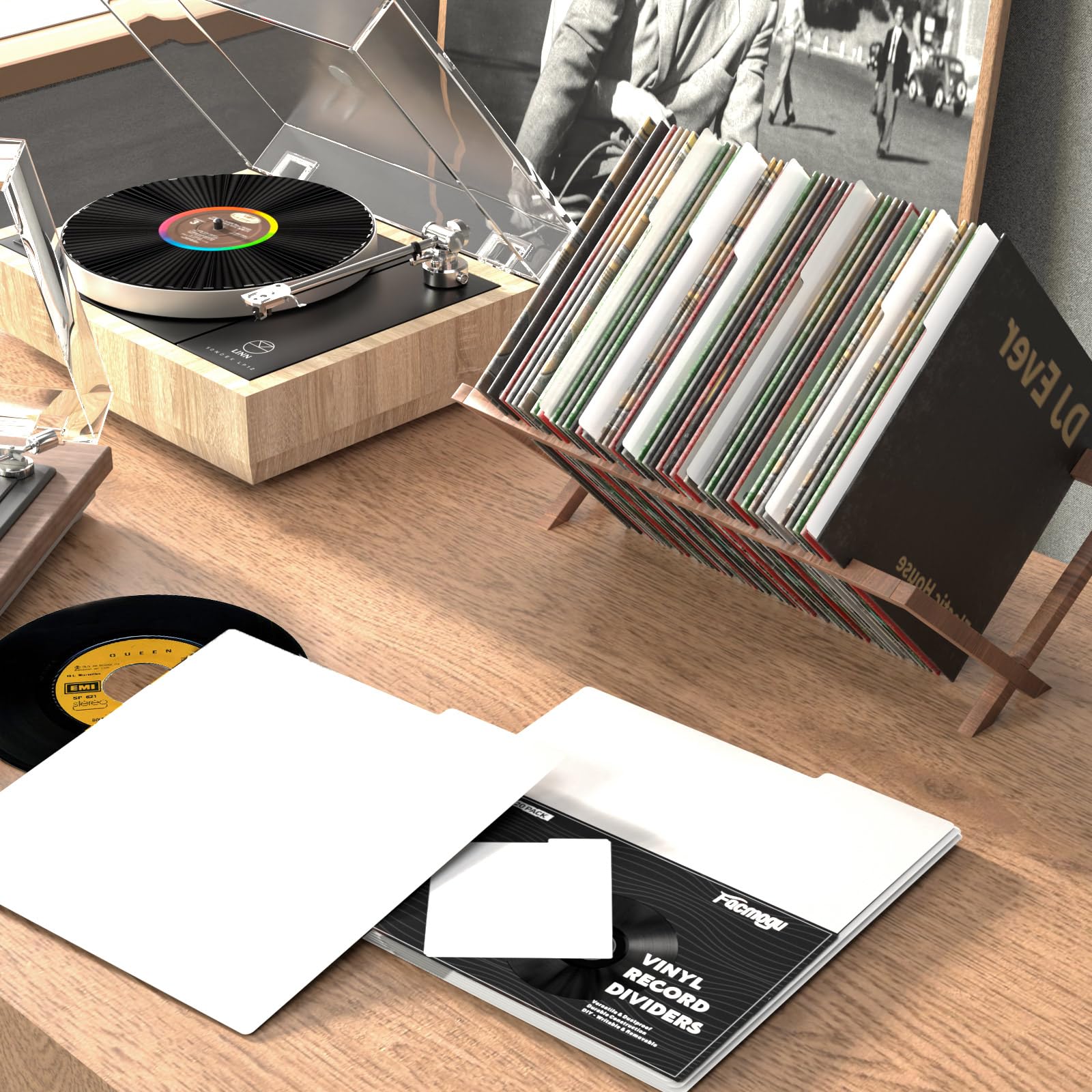 Facmogu 20PCS Vinyl Record Dividers, 12in Plastic Vinyl Record
